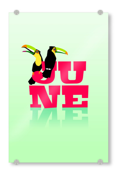 Acrylglasbild "Animals in Color - June" artboxONE - Typografie,Floral,Für Kinder,Tiere,Comic,Weihnachten