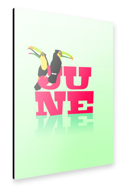 Alu-Dibond "Animals in Color - June" 30x20 cm artboxONE