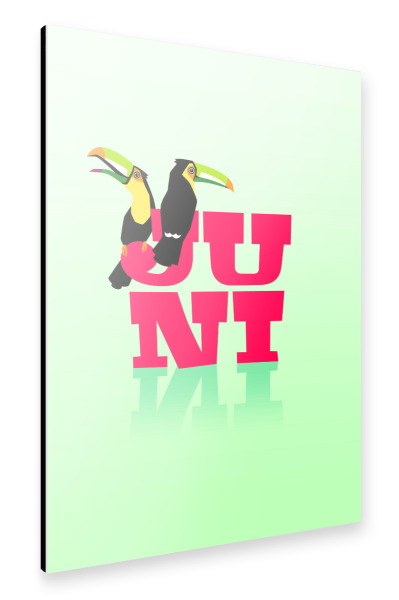 Alu-Dibond "Bunte Welt der Tiere - Juni" 30x20 cm artboxONE