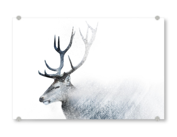 Acrylglasbild "Oh Deer Snow" artboxONE - Natur - Deer,Snow