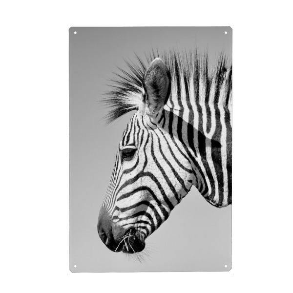 Holzbild "Zebra Portrait sw 5078" artboxONE - Tiere,Schwarzweiß,Reise / Afrika