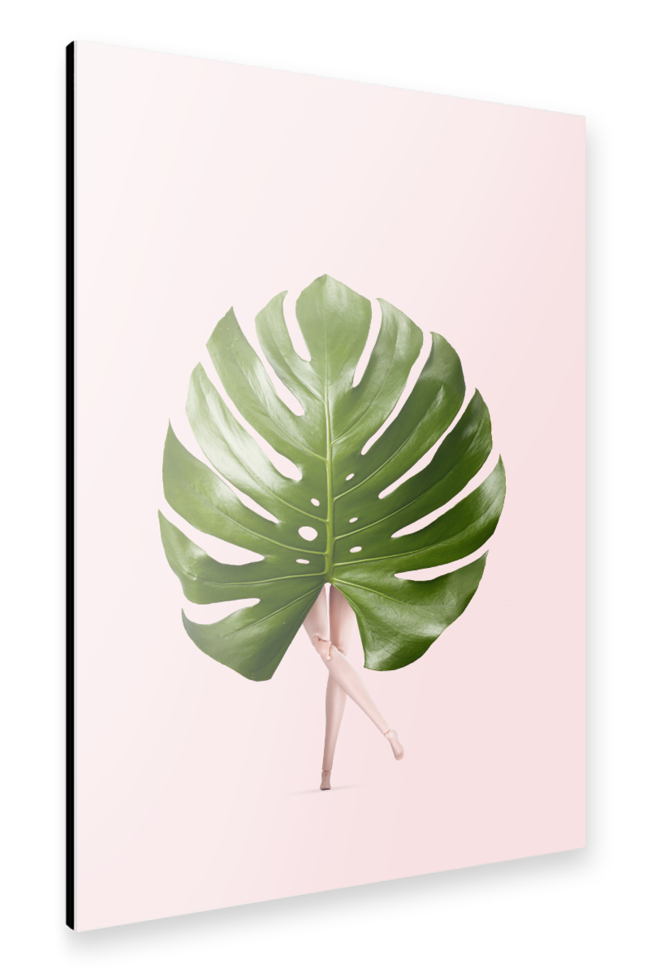Alu-Dibond "MONSTERA LADY" 30x20 cm artboxONE