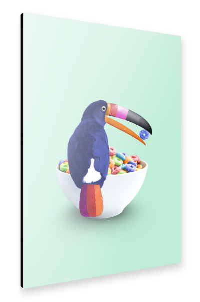 Alu-Dibond "LOOP TOUCAN" 30x20 cm artboxONE