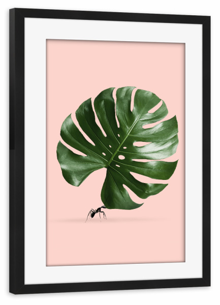 Poster mit Rahmen schwarz "MONSTERA AMEISE" artboxONE - Natur,Floral,Tiere,Abstrakt,Fiktion