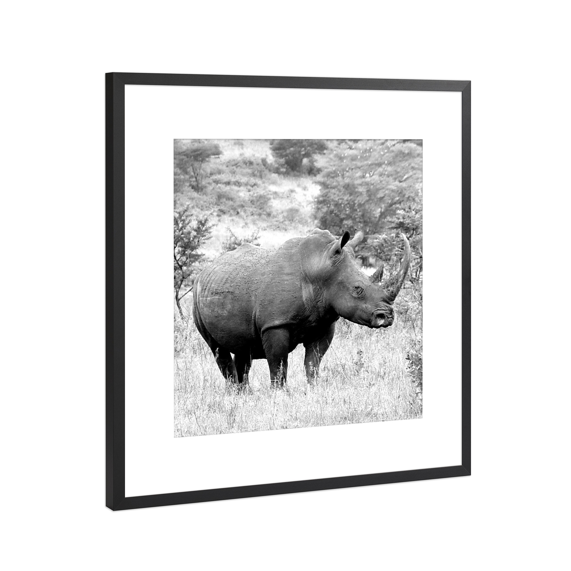 Poster mit Rahmen Schwarz (Metallic) "Nashorn - Rhino sw 669a" artboxONE - Natur,Tiere,Schwarzweiß,Reise / Afrika