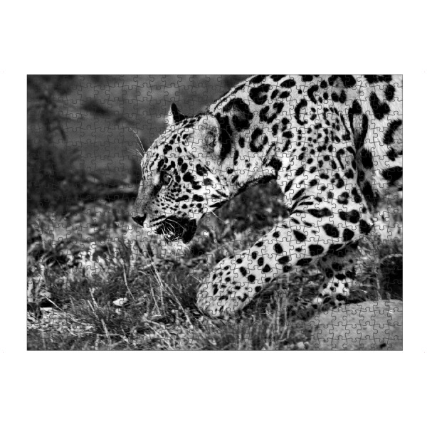 Puzzle Ravensburger "Jaguar beim Jagen" artboxONE - Natur,Tiere,Schwarzweiß,Reise / Afrika