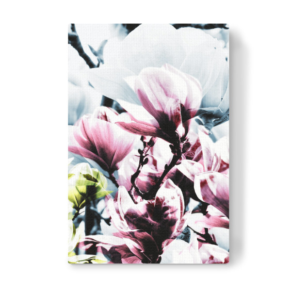 Leinwandbild "Magnolia 01" artboxONE - Natur,Floral - Magnolie,Blume,Blumen,Baum,Natur,Muster,Flowers,Nature,Wiese,Meadow,Strauss,Bouquet
