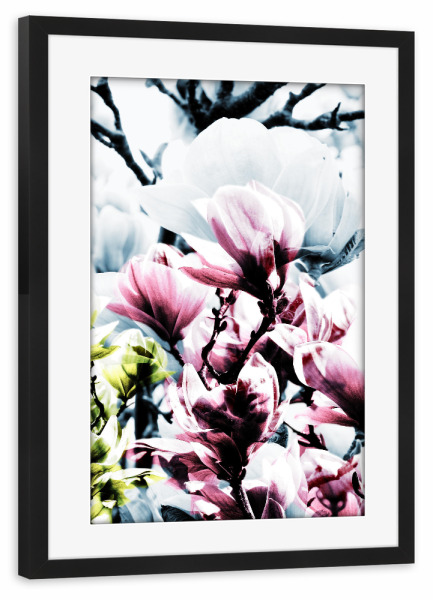 Poster mit Rahmen schwarz "Magnolia 01" artboxONE - Natur,Floral - Magnolie,Blume,Blumen,Baum,Natur,Muster,Flowers,Nature,Wiese,Meadow,Strauss,Bouquet