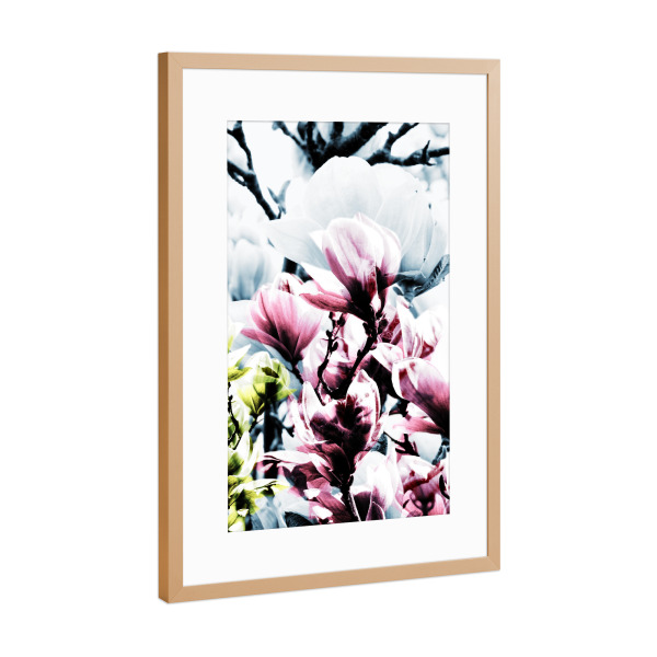 Poster mit Rahmen Kupfer "Magnolia 01" artboxONE - Natur,Floral - Magnolie,Blume,Blumen,Baum,Natur,Muster,Flowers,Nature,Wiese,Meadow,Strauss,Bouquet