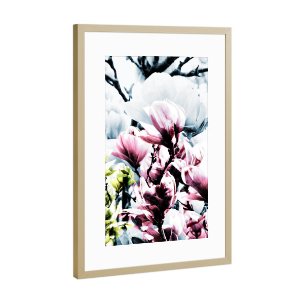 Poster mit Rahmen Gold "Magnolia 01" artboxONE - Natur,Floral - Magnolie,Blume,Blumen,Baum,Natur,Muster,Flowers,Nature,Wiese,Meadow,Strauss,Bouquet