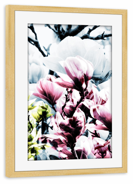 Poster mit Rahmen kiefer "Magnolia 01" artboxONE - Natur,Floral - Magnolie,Blume,Blumen,Baum,Natur,Muster,Flowers,Nature,Wiese,Meadow,Strauss,Bouquet