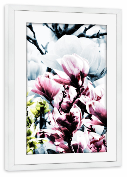 Poster mit Rahmen weiß "Magnolia 01" artboxONE - Natur,Floral - Magnolie,Blume,Blumen,Baum,Natur,Muster,Flowers,Nature,Wiese,Meadow,Strauss,Bouquet