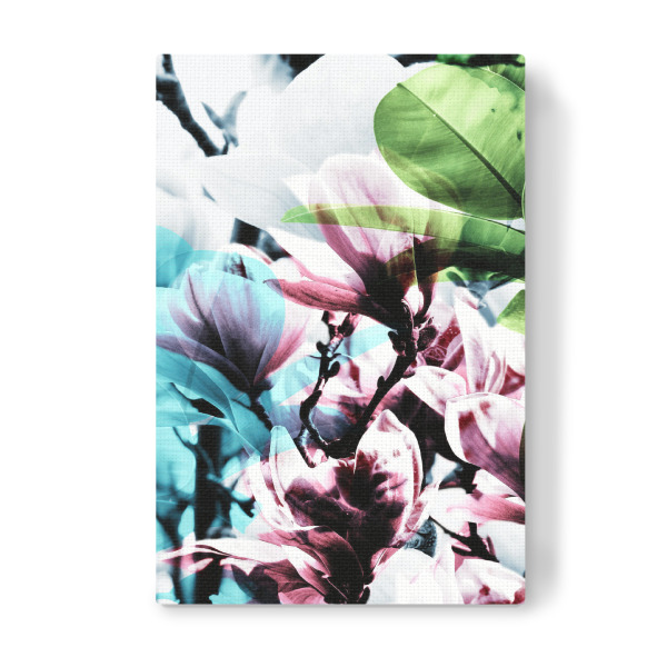 Leinwandbild "Magnolia 02" artboxONE - Natur,Floral - Magnolie,Blume,Blumen,Baum,Natur,Muster,Flowers,Nature,Wiese,Meadow,Strauss,Bouquet