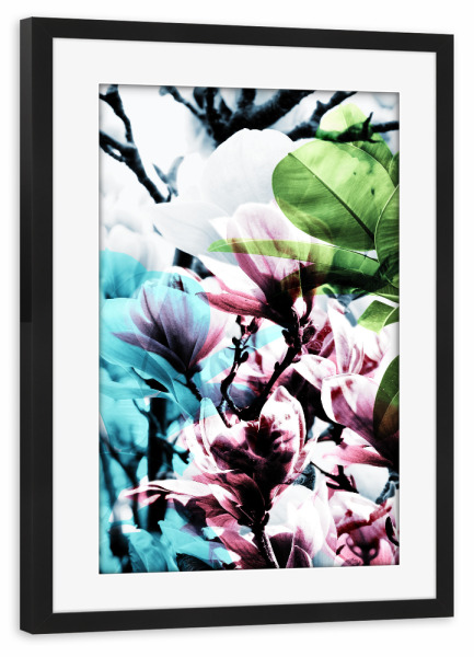 Poster mit Rahmen schwarz "Magnolia 02" artboxONE - Natur,Floral - Magnolie,Blume,Blumen,Baum,Natur,Muster,Flowers,Nature,Wiese,Meadow,Strauss,Bouquet