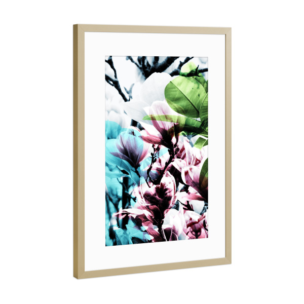 Poster mit Rahmen Gold "Magnolia 02" artboxONE - Natur,Floral - Magnolie,Blume,Blumen,Baum,Natur,Muster,Flowers,Nature,Wiese,Meadow,Strauss,Bouquet