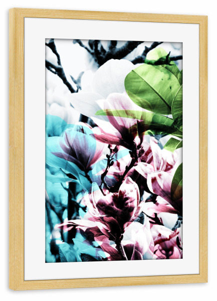 Poster mit Rahmen kiefer "Magnolia 02" artboxONE - Natur,Floral - Magnolie,Blume,Blumen,Baum,Natur,Muster,Flowers,Nature,Wiese,Meadow,Strauss,Bouquet