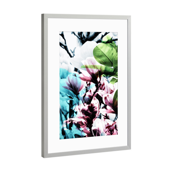 Poster mit Rahmen Silber "Magnolia 02" artboxONE - Natur,Floral - Magnolie,Blume,Blumen,Baum,Natur,Muster,Flowers,Nature,Wiese,Meadow,Strauss,Bouquet