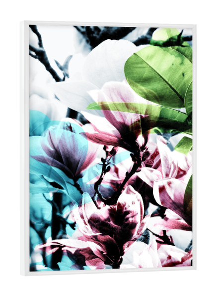 Poster mit weißem Rahmen "Magnolia 02" artboxONE - Natur,Floral - Magnolie,Blume,Blumen,Baum,Natur,Muster,Flowers,Nature,Wiese,Meadow,Strauss,Bouquet