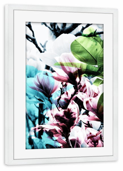 Poster mit Rahmen weiß "Magnolia 02" artboxONE - Natur,Floral - Magnolie,Blume,Blumen,Baum,Natur,Muster,Flowers,Nature,Wiese,Meadow,Strauss,Bouquet