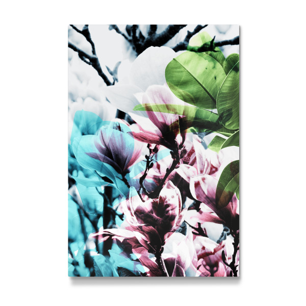 Galerie-Print "Magnolia 02" 30x20 cm artboxONE