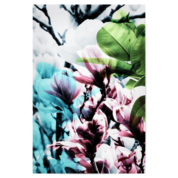 Poster "Magnolia 02" artboxONE - Natur,Floral - Magnolie,Blume,Blumen,Baum,Natur,Muster,Flowers,Nature,Wiese,Meadow,Strauss,Bouquet