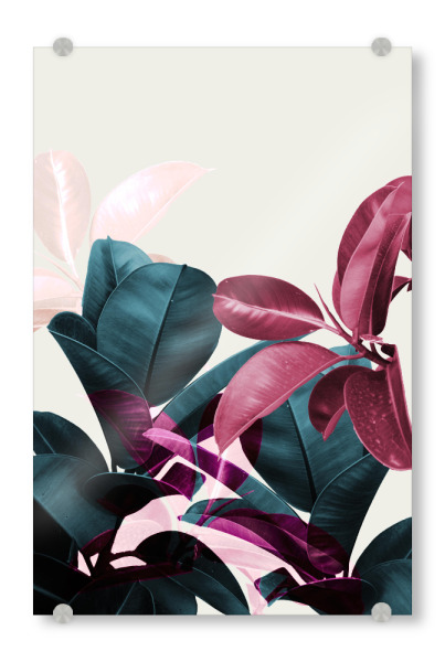 Acrylglasbild "Exposure 01" artboxONE - Natur,Floral