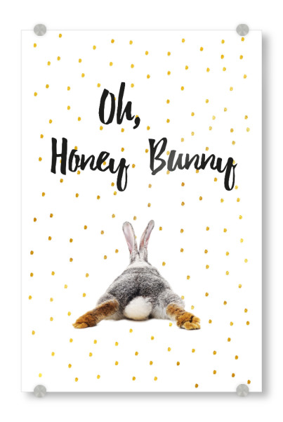 Acrylglasbild "Honey Bunny" artboxONE - Typografie,Tiere,Liebe