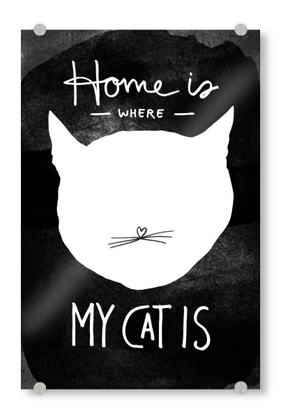 Acrylglasbild "Home is Where My Cat Is" artboxONE - Typografie,Tiere,Schwarzweiß