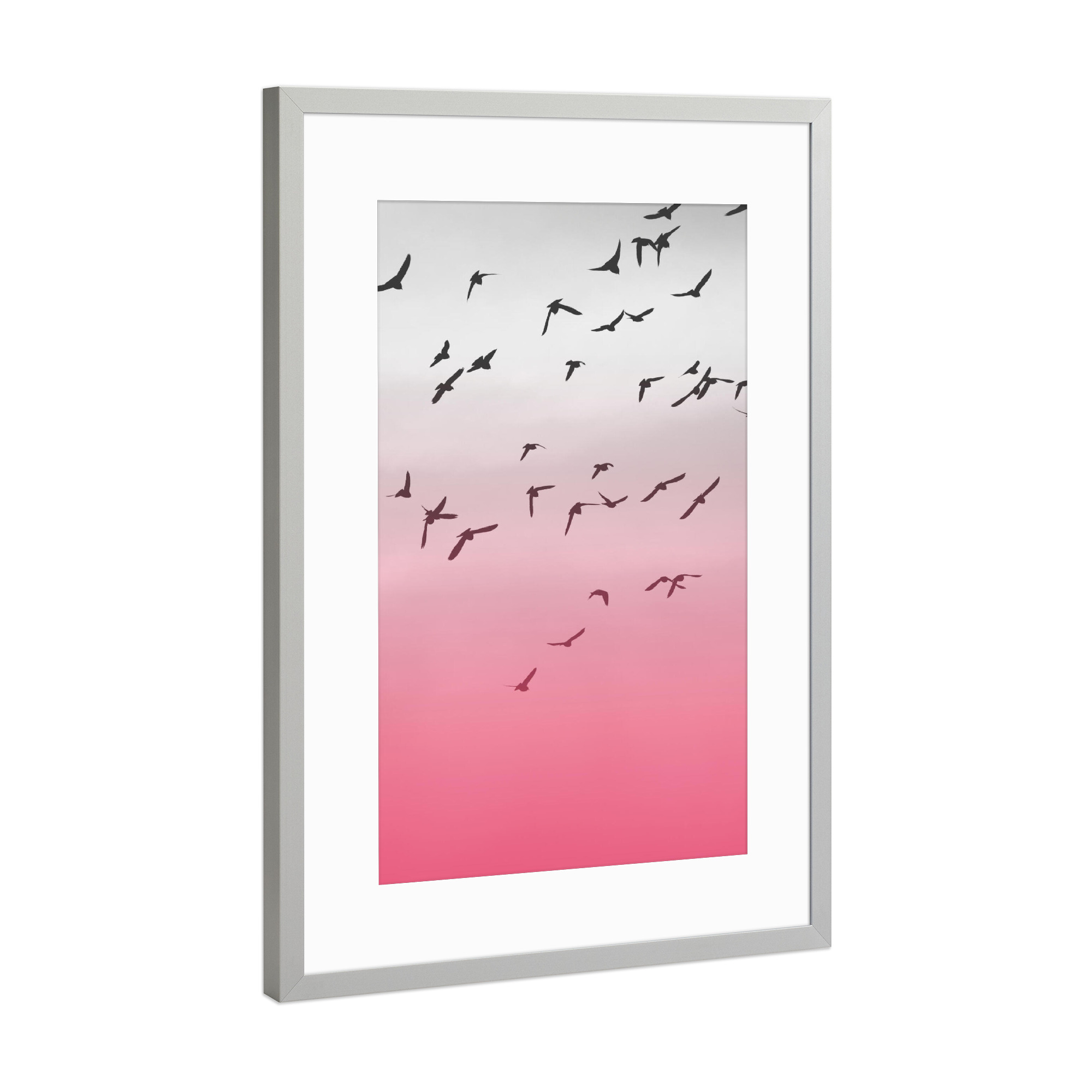 Poster mit Rahmen Silber "Birds 2" artboxONE - Reise,Tiere - Vögel,Birds,Fliegen,Fly,Sky,Himmel,Freiheit,Liberty,Freedom,Wings,Flügel