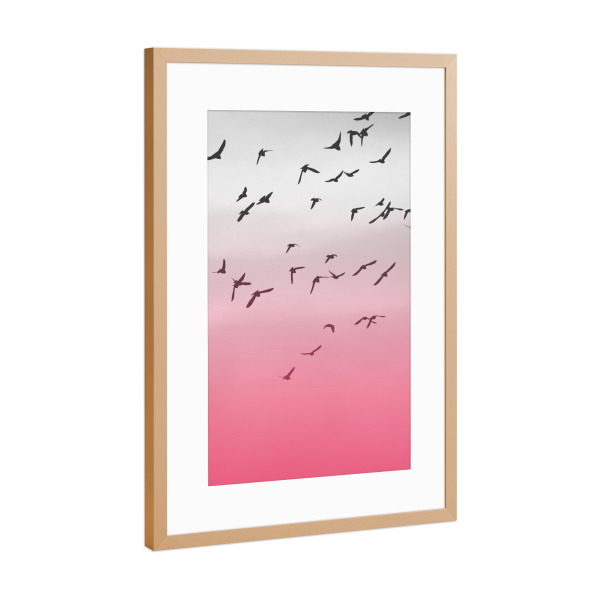 Poster mit Rahmen Kupfer "Birds 2" artboxONE - Reise,Tiere - Vögel,Birds,Fliegen,Fly,Sky,Himmel,Freiheit,Liberty,Freedom,Wings,Flügel