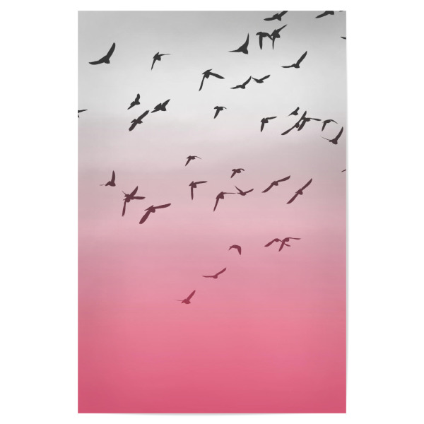 Poster 30x20 cm "Birds 2" artboxONE - Reise,Tiere - Vögel,Birds,Fliegen,Fly,Sky,Himmel,Freiheit,Liberty,Freedom,Wings,Flügel