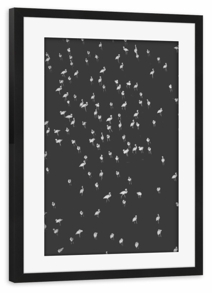 Poster mit Rahmen schwarz "Birds 1" artboxONE - Tiere,Schwarzweiß - Vögel,Fliegen,Fly,Himmel,Sky,Flügel,Wings,Freiheit,Freedom,Liberty