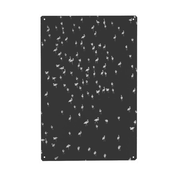 Holzbild "Birds 1" artboxONE - Tiere,Schwarzweiß - Vögel,Fliegen,Fly,Himmel,Sky,Flügel,Wings,Freiheit,Freedom,Liberty