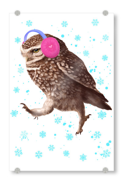 Acrylglasbild "Winter owl 2" artboxONE - Natur,Tiere,Schwarzweiß,Weihnachten