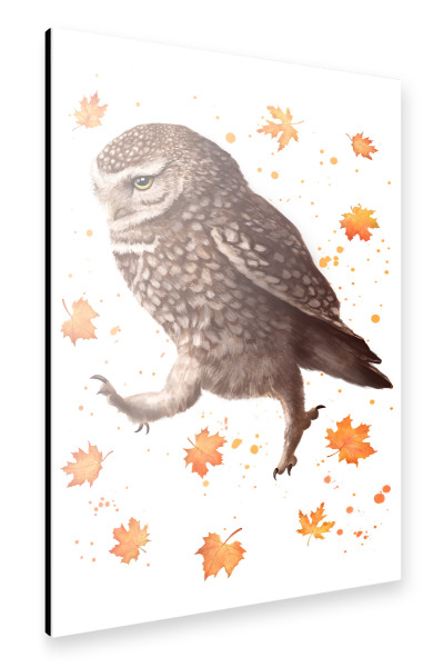 Alu-Dibond "Autumn owl" 30x20 cm artboxONE