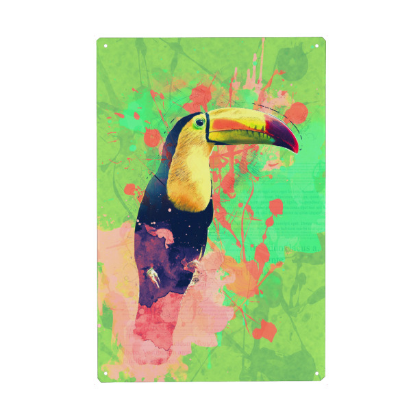 Metall Poster "Toucan Exotic Tropical Bird" artboxONE - Reise,Tiere