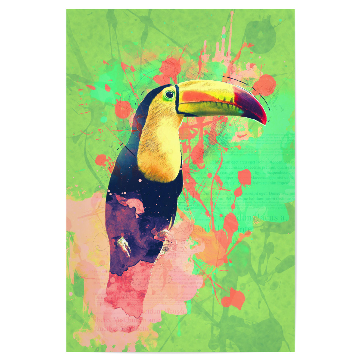 Toucan Exotic Tropical Bird Als Poster Bei Artboxone Kaufen