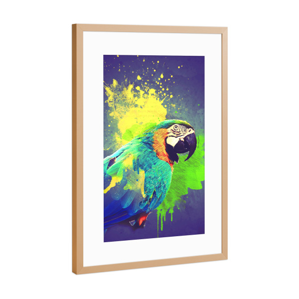 Poster mit Rahmen Kupfer "Blue Green Parrot Arwork" artboxONE - Reise,Tiere