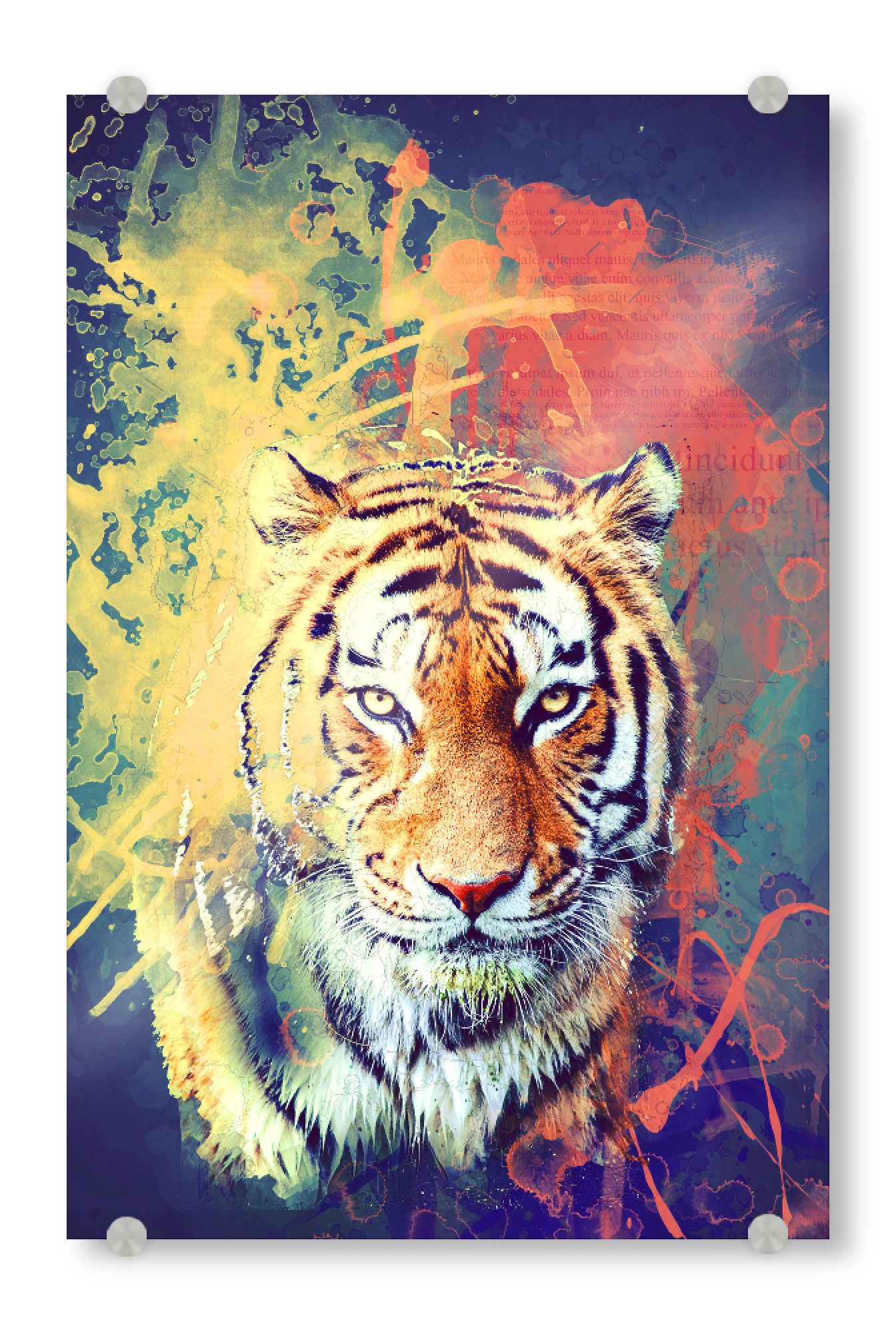 Acrylglasbild "Tiger Artwork" artboxONE - Reise,Tiere,Männer