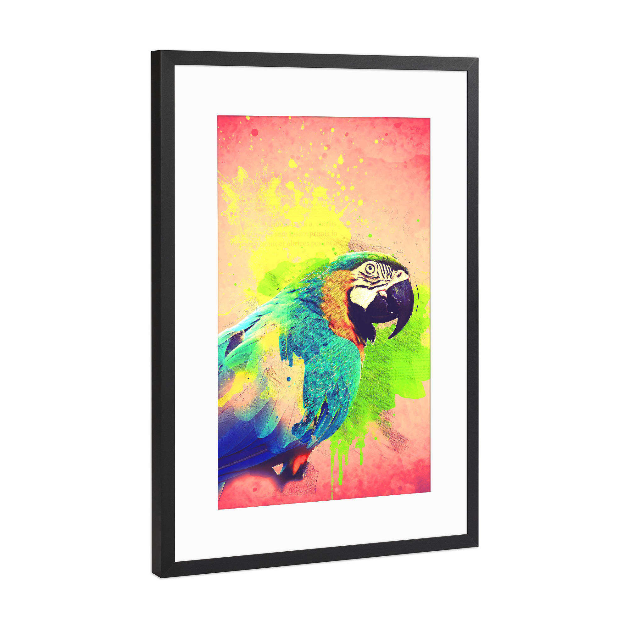 Poster mit Rahmen Schwarz (Metallic) "Colourful Tropical Parrot Artwork" artboxONE - Tiere,Reise / Afrika,Reise / Asien