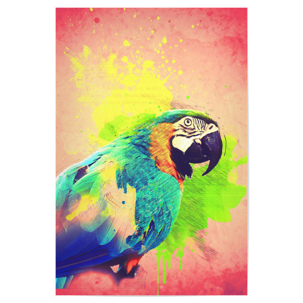 Poster "Colourful Tropical Parrot Artwork" artboxONE - Tiere,Reise / Afrika,Reise / Asien