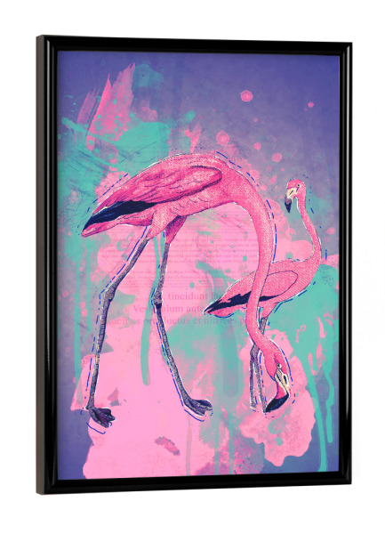 Poster mit schwarzem Rahmen "Purple and Pink Flamingos" artboxONE - Tiere,Comic