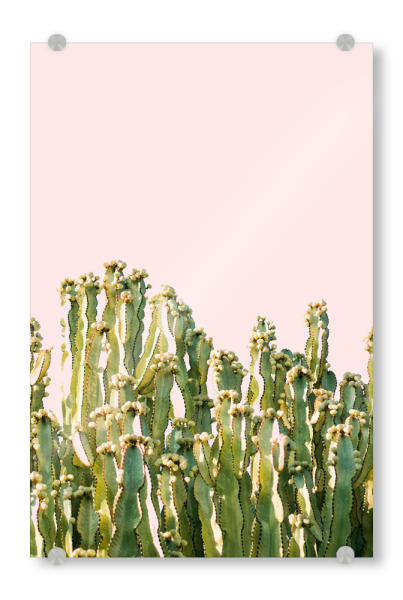 Acrylglasbild "Cactus Blush" artboxONE - Natur - Collage,Cactus,Cacti,Desert,Landscape,Nature,Botanical,Plant,Kakti,Kaktus,Wüste,Landschaft,Botanisch