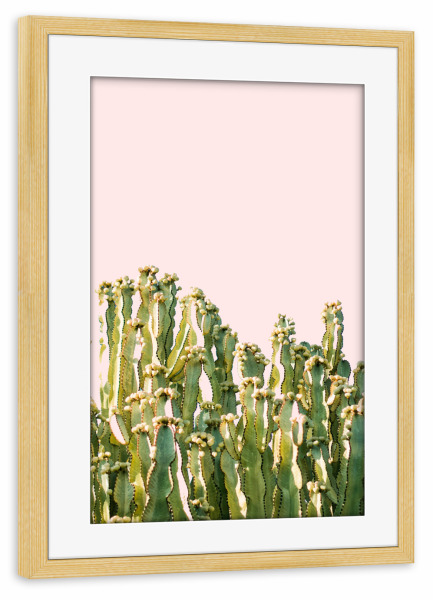 Poster mit Rahmen kiefer "Cactus Blush" artboxONE - Natur