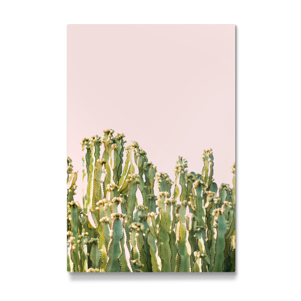 Galerie-Print "Cactus Blush" 30x20 cm artboxONE