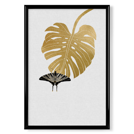 Butterfly & Monstera