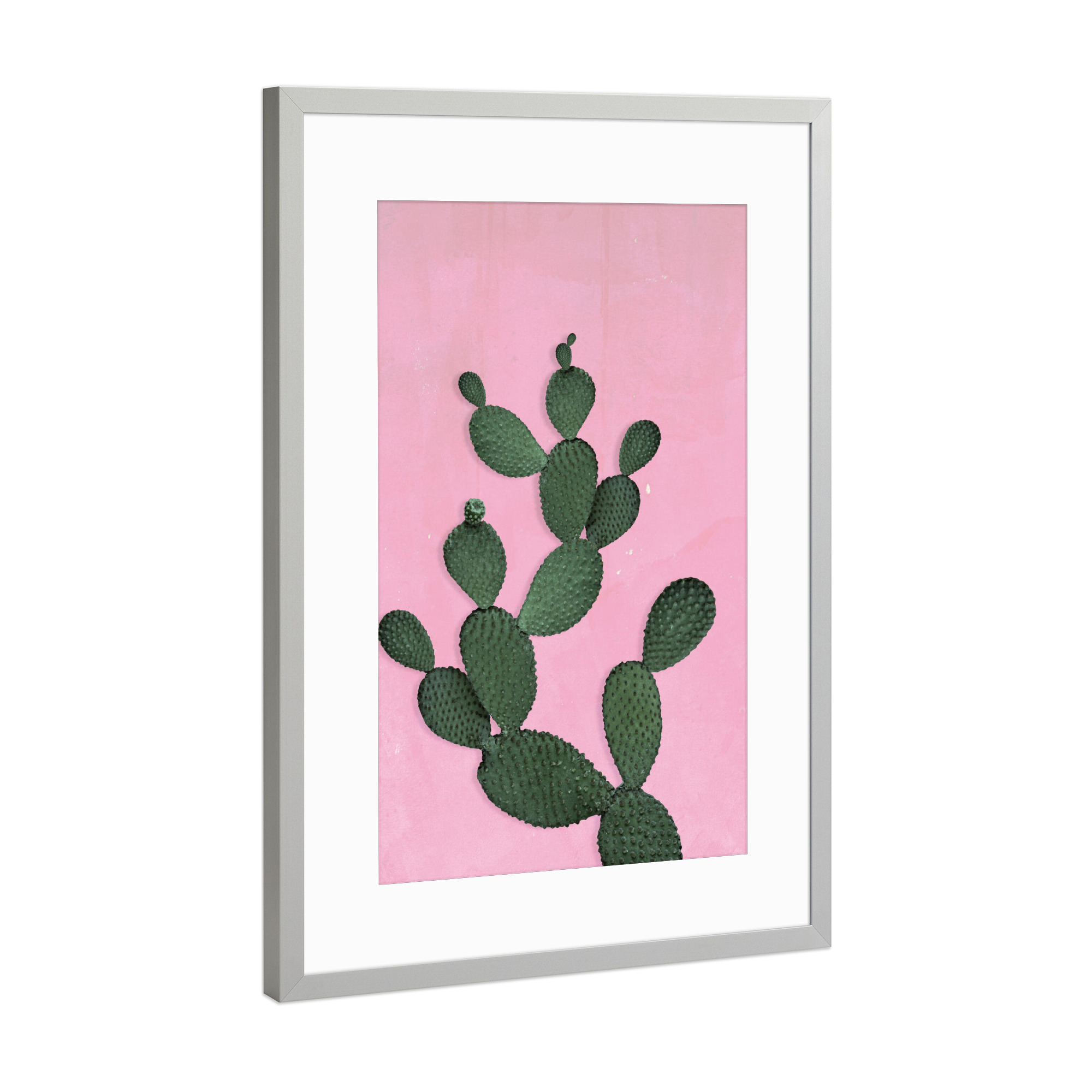 Poster mit Rahmen Silber "Kaktus 3" artboxONE - Floral