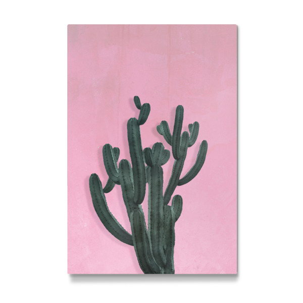 Galerie-Print "Kaktus 2" 30x20 cm artboxONE