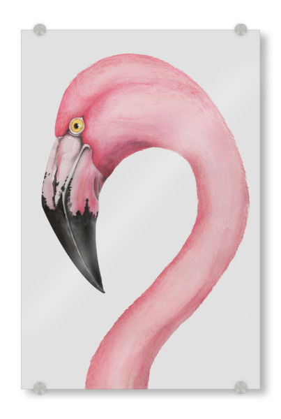 Acrylglasbild "Flamingo 5" artboxONE - Tiere,Festivals - Flamingo,Vogel,Bird,Wasser,Water,Lagune,Lagoon