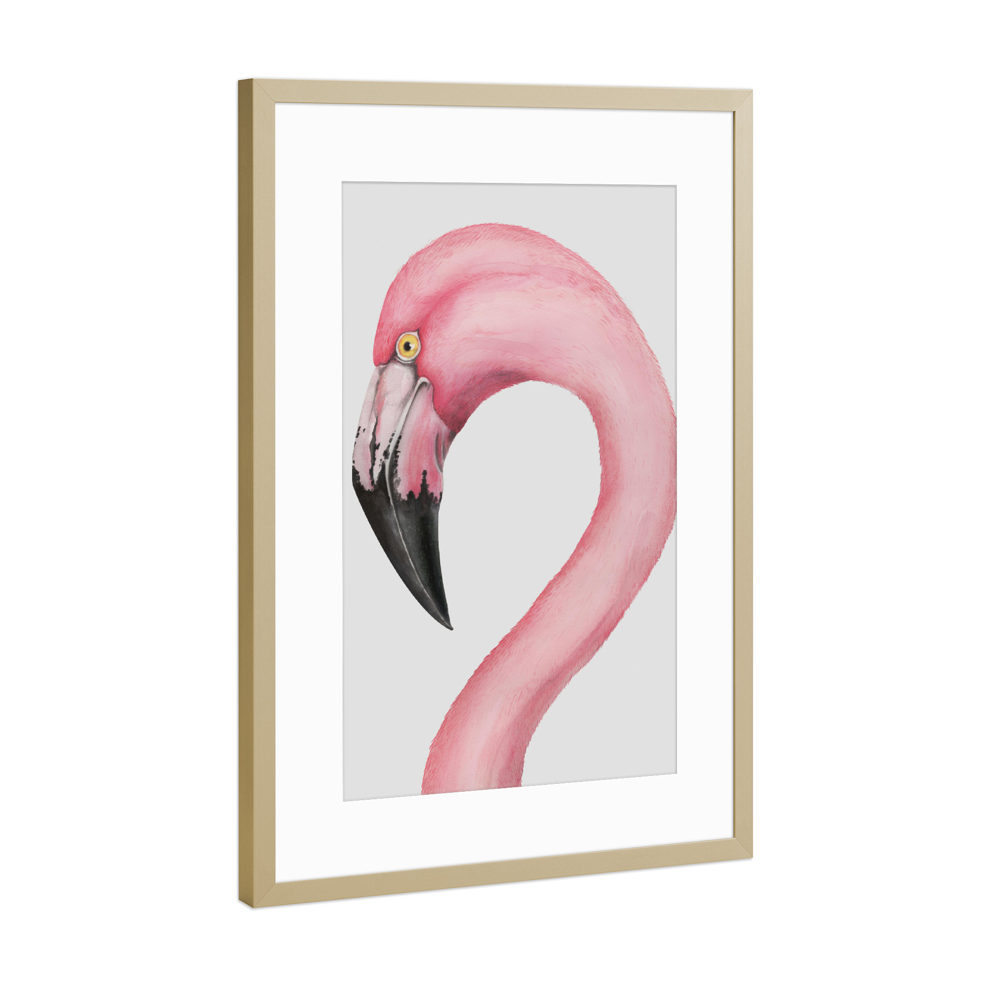 Poster mit Rahmen Gold "Flamingo 5" artboxONE - Tiere,Festivals - Flamingo,Vogel,Bird,Wasser,Water,Lagune,Lagoon